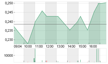 ADLER GROUP S.A. NPV Chart