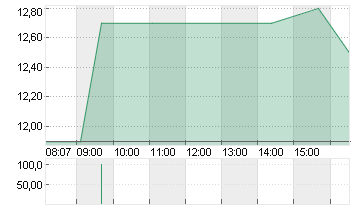FEINTOOL INTL HOLDG NAM Chart