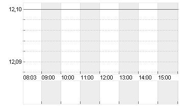 FEINTOOL INTL HOLDG NAM Chart