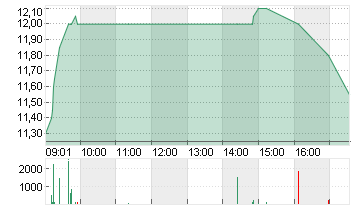 FEINTOOL INTL HOLDG NAM Chart