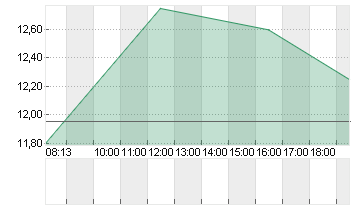 FEINTOOL INTL HOLDG NAM Chart