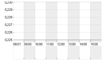 ADLER GROUP S.A. NPV Chart