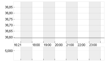 UNITED STATES STEEL  DL 1 Chart