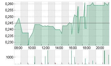 ADLER GROUP S.A. NPV Chart