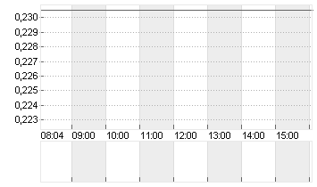 ADLER GROUP S.A. NPV Chart