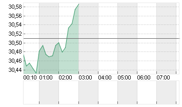 SILBER FEINUNZE Chart